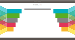 Desktop Screenshot of fromlab.com