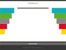 Tablet Screenshot of fromlab.com